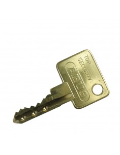 Clé Abus TS 5000