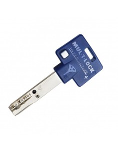 Clé Héraclès Mul-T-Lock 262G