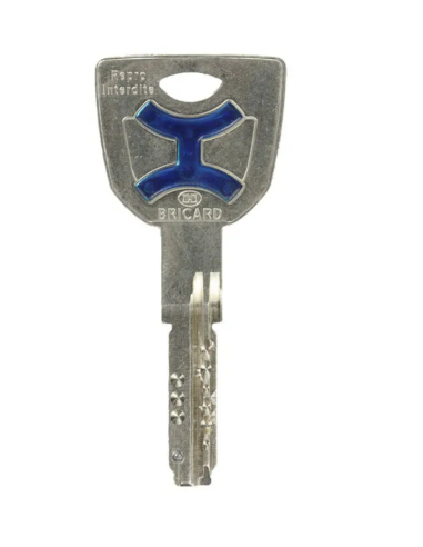 Demi Cylindre BRICARD Dual XP S2