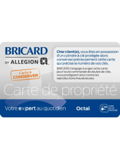 Demi cylindre BRICARD Octal 2
