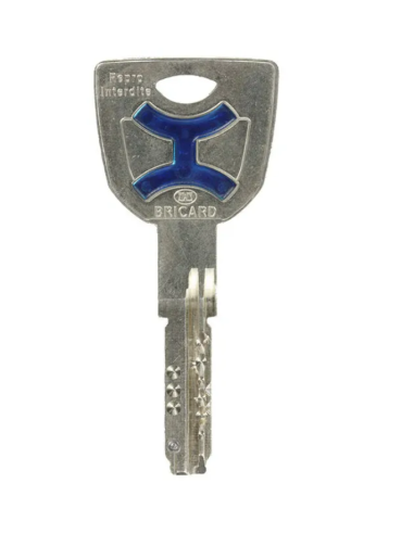 Cylindre BRICARD Dual XP S2 à bouton