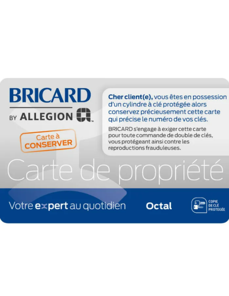 Cylindre BRICARD Octal à bouton