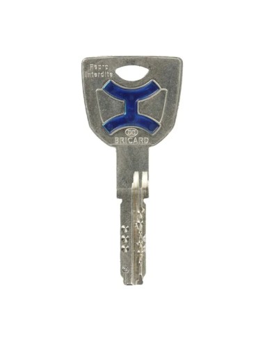 Cylindre Bricard Dual XP S2 – Clé