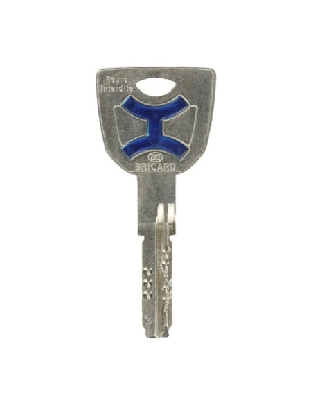 Cylindre Bricard Dual XP S2 – Clé