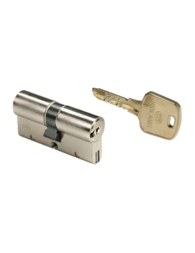 Cylindre Bricard Serial S – Cylindre double entrée