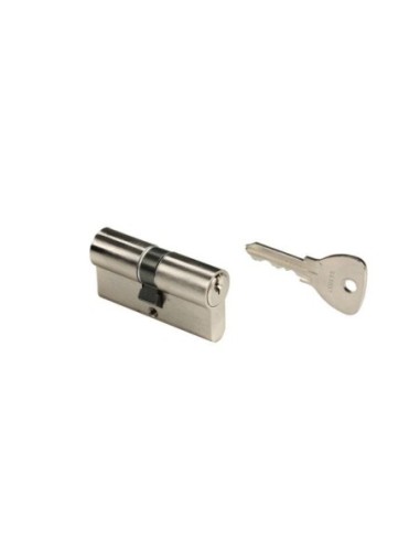 Cylindre européen Bricard Alpha
