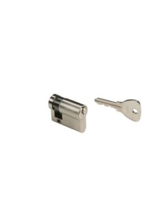 Cylindre européen Bricard Alpha 2