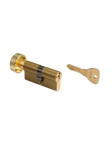 Cylindre européen Bricard à goupilles