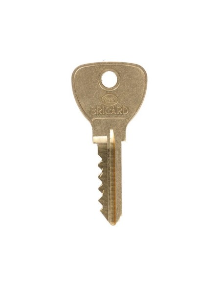 Cylindre européen Bricard à goupilles