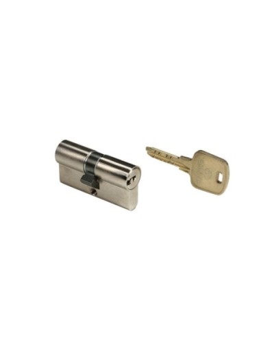 Cylindre européen Bricard Serial