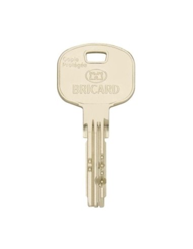 Cylindre européen Bricard Tertial