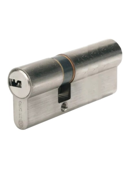 Cylindre Bricard Serial pour serrure Vigiblock a2p1*