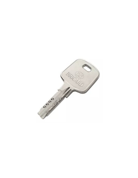 Cylindre Bricard Serial A2P* pour serrure 8161