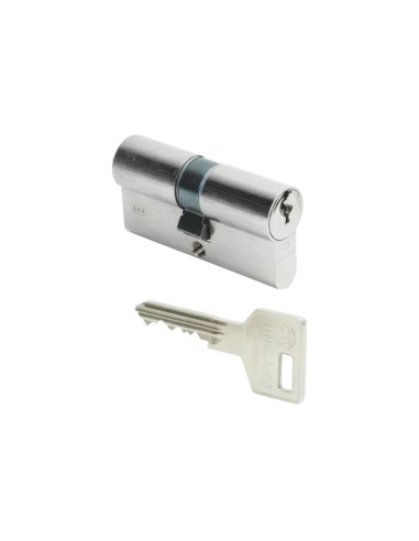 Bricard Octal A2P1* pour serrure 8161