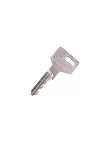 Cylindre Bricard Octal A2P1* pour...