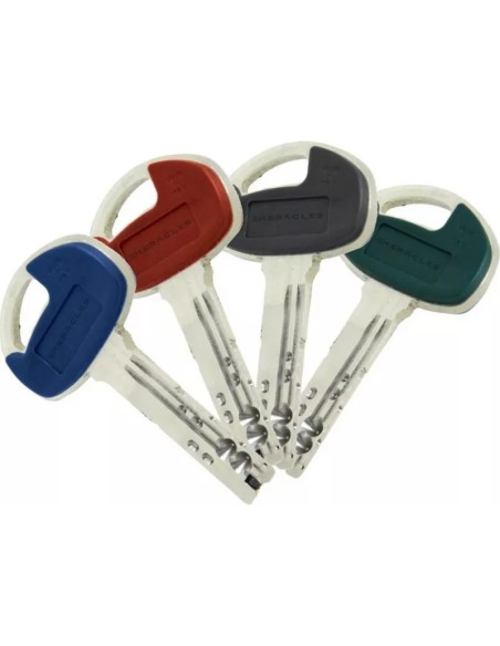 Cylindre à roue dentée Héraclès X8 pour Mul-t-lock