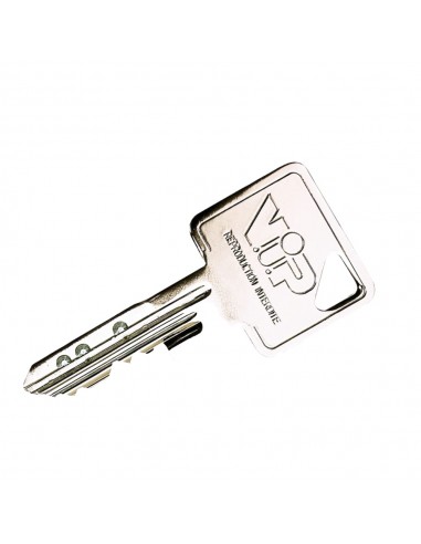 Clé de passe Vachette Vip