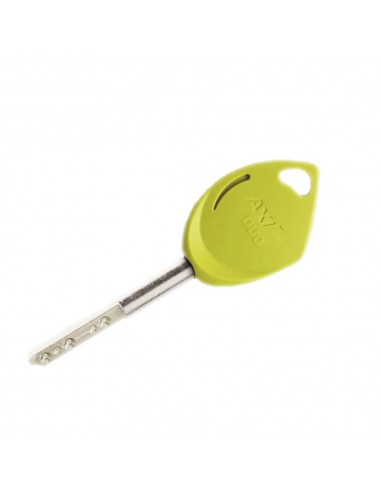 Clé de passe Vachette Axi'Home DUO