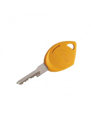 Clé de passe Vachette V5 Code DUO