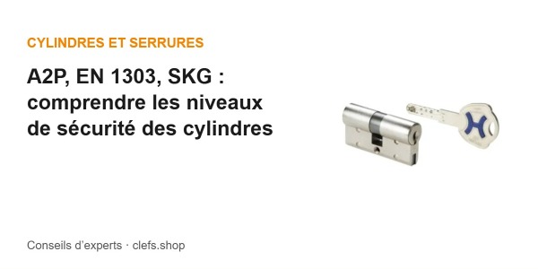 A2P, EN 1303, SKG : comprendre les niveaux de sécurité des cylindres